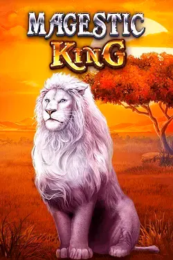 Gioco delle slot4